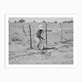 Mrs Hutton Irrigating Her Garden, Pie Town, New Mexico By Russell Lee Art Print