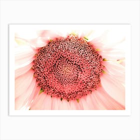 Infra Sunflower Art Print