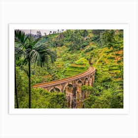 Sri Lanka Railway Bridge Art Print