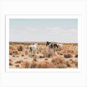 Wild Horses In Desert Art Print