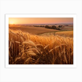 Golden Wheat Field At Sunset Art Print