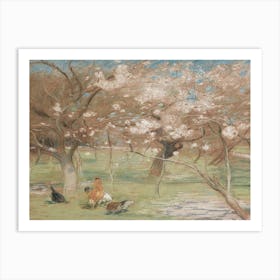 Blossoming Cherry Trees Art Print