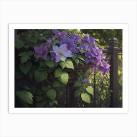 Clematis Draped Fence Hanging Down Art Print