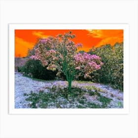 Tree In The Forest 2023071715492pub Art Print