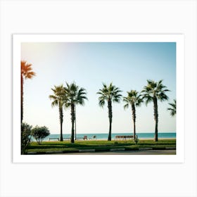 Palm Trees On The Beach 2 Art Print