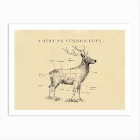 American Venison Butcher Cuts Chart Art Print