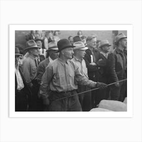 Untitled Photo, Possibly Related To Silverton, Colorado, Labor Day Celebration, Contestant And Spectators Art Print