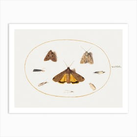 Eight Moths (1575–1580), Joris Hoefnagel Art Print