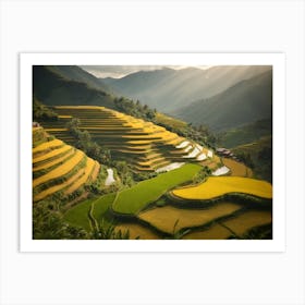 Golden Rice Terraces: A Photographic Masterpiece Art Print