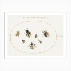 Seven Bees And Flies (1575–1580), Joris Hoefnagel Art Print