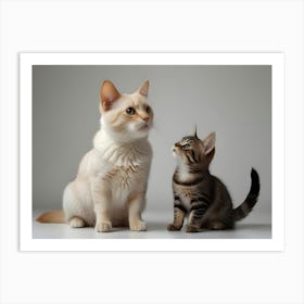 Cats On White 1 Art Print