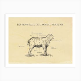 French Lamb Butcher Cuts Chart Art Print