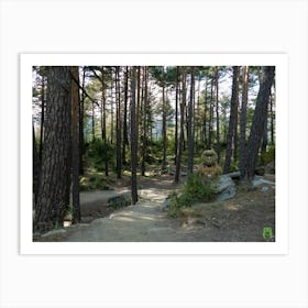 Path In The Woods 20230818267rt1pub Art Print