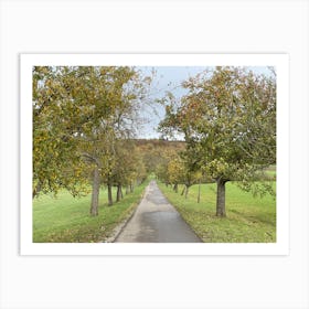 Road In The Countryside 14 Art Print