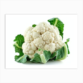 Cauliflower 12 Art Print