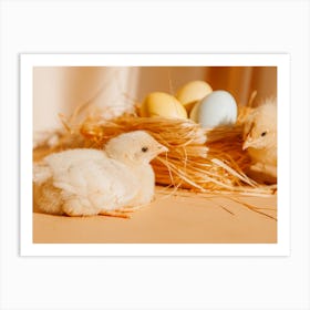 Easter Chicks 5 Art Print