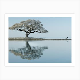 Lone Tree 17 Art Print