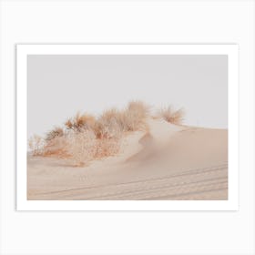 Sand Dune Grasses Art Print