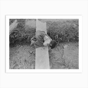 Untitled Photo, Possibly Related To Spanish American Boy Playing In Irrigation Ditch, Chamisal, New Mexico Art Print