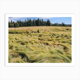 Grass hairs and nature Art Print