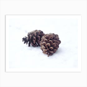 Two Pine Cones Art Print