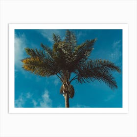 Palm Tree II Art Print
