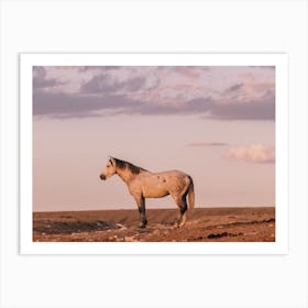 Wild Horse Sunset View Art Print