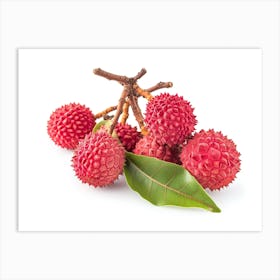 Lychee Fruit 13 Art Print