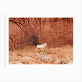 White Desert Horse Art Print