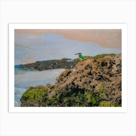 Common Kingfisher Alcedo Atthis Bird Sitting On The Sea Rock At The Beach In Israel Art Print