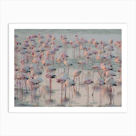 Flamingos at the Ocean Namibia Art Print