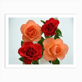 Four roses Art Print