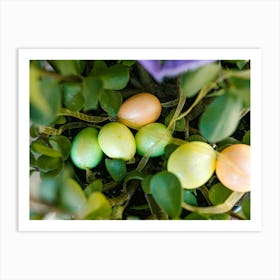 Easter Eggs 489 Art Print