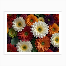 Gerbera Daisies 1 Art Print