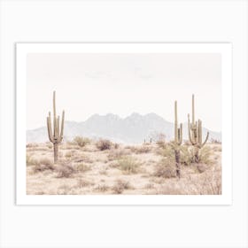 Four Peaks Cactus Art Print