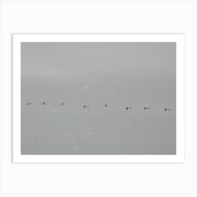 Flamingos Flying High in Namibia Art Print