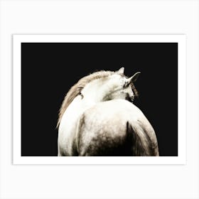 Grey horse in balance - Ardennes Belgian photo print - moody animal photography art Art Print