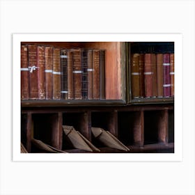 Library Bookshelves Art Print