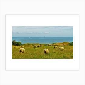 Sheep And The Sea Art Print