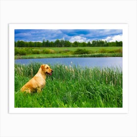 Cute Dog In The Grass Art Print