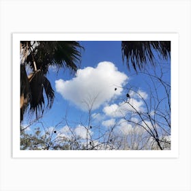 Cloud In The Sky 1 Art Print