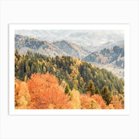 Autumn Forest Scenery Art Print