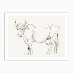 Standing Cow 3, Jean Bernard Art Print