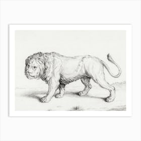 Lion 1, Jean Bernard Art Print