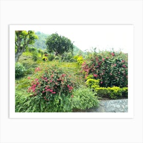 Garden 4 By Binod Dawadi Art Print