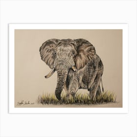 Elephant Art Print