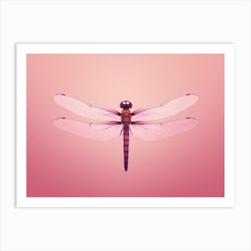 Dragonfly Roseate Skimmer Orthemis 7 Art Print