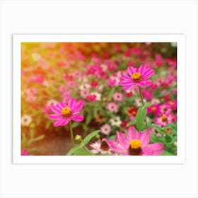 Pink Flowers In The Garden Art Print