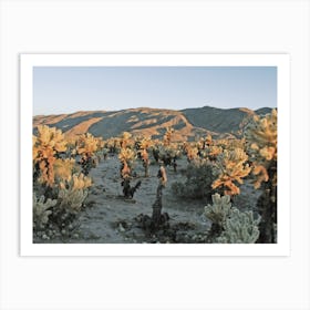 California Cholla Cactus Art Print