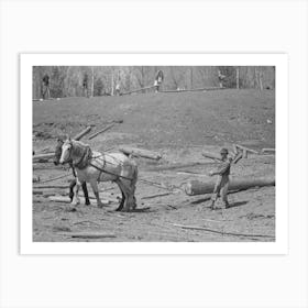 Lumberjack Near Little Fork, Minnesota By Russell Lee Art Print